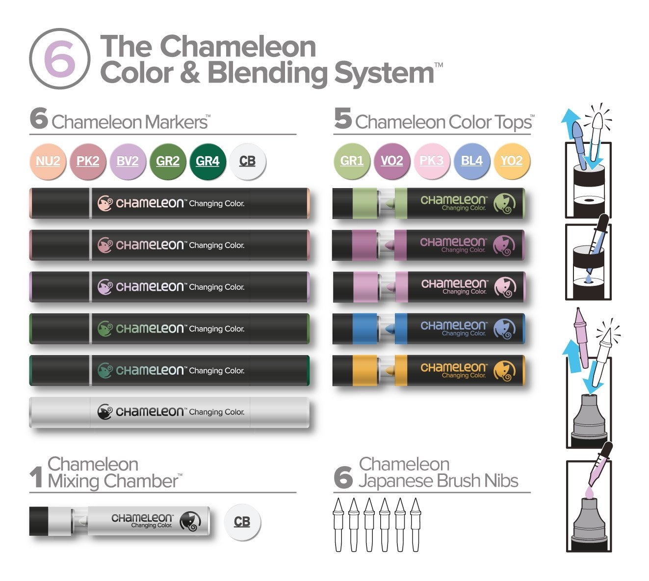 Система хамелеон. Хамелеон тест. Fineliner Chameleon. Where can i buy Chameleon Pens. Chameleon Colour Tinning& Mixing Systems.